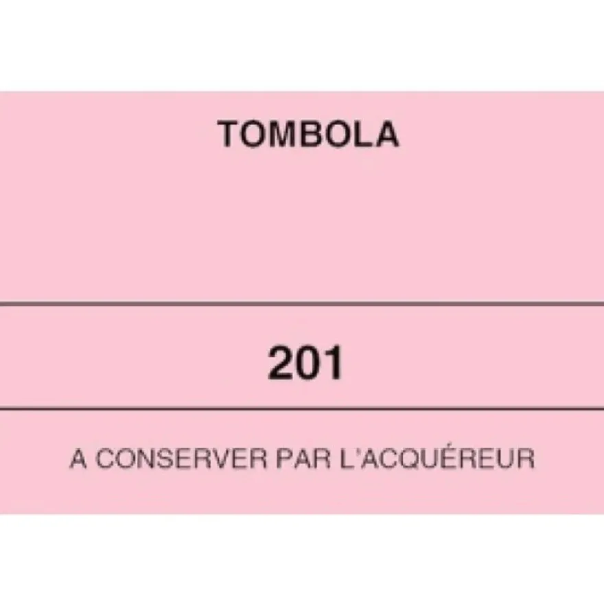 ELVE - 10 Blocs tombola 3 volets de 100 tickets - 50 x 150 mm - numéroté - rose