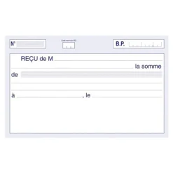 ELVE - Manifold Carnet de reçus - 50 dupli - 10,5 x 18 cm