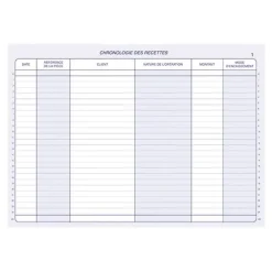 ELVE - Manifold Carnet de recettes/dépenses auto-entrepreneurs - 40 dupli - A4