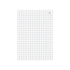 ELVE - Manifold quadrillé 5x5 - 50 tripli - 14,8 x 21 cm