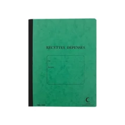 ELVE - Piqûre recettes/dépenses - 22 x 17 cm - 80 pages