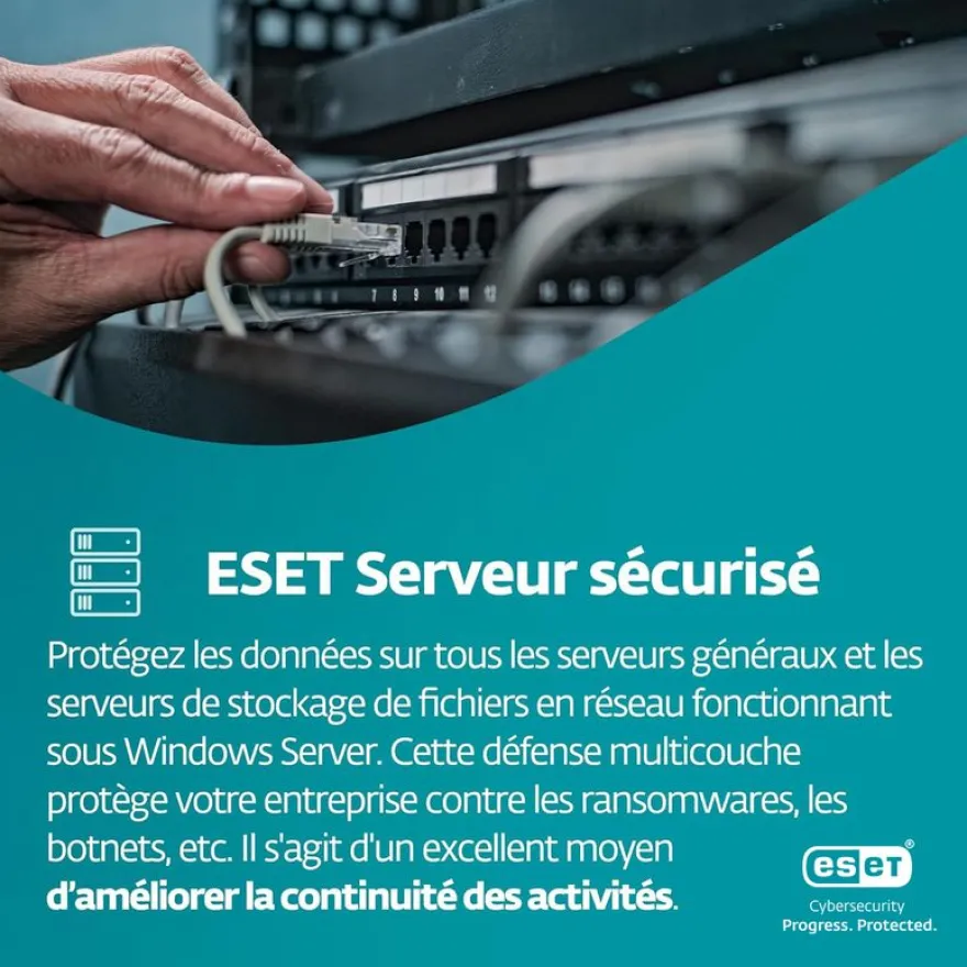 ESET Small Business Security Pack - Licence d'abonnement - 1 an - 5 appareils