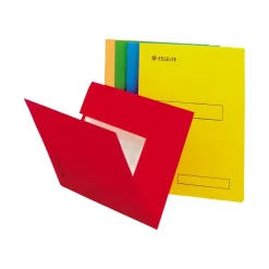 Esselte - 100 Chemises à 2 rabats - kraft recyclé - coloris assortis