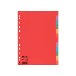 Esselte - Intercalaire 12 positions - A4 - carte recyclée colorée
