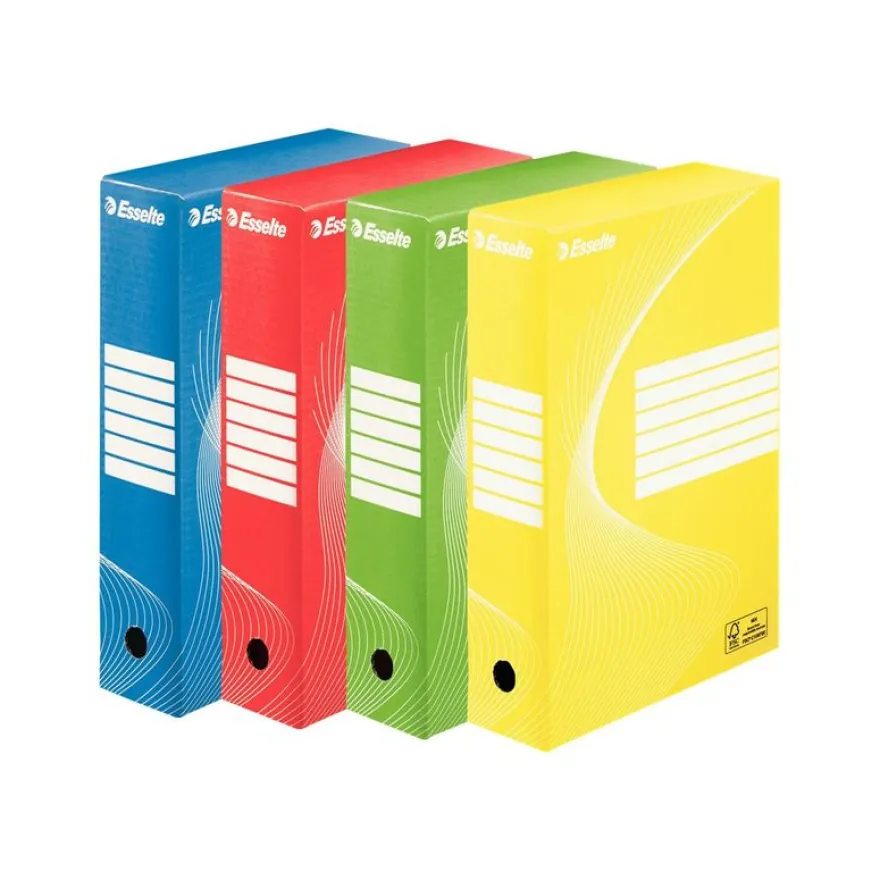 Esselte Standard - 10 boîtes archives - dos 8 cm - couleurs assorties