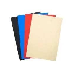 Exacompta - 100 couvertures à reliure A4 (21 x 29,7 cm) - 270 g/m² - couleurs assorties