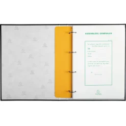 Exacompta - Carton de 10 reliures registres assemblées générales - 32 x 25 cm - 4 anneaux