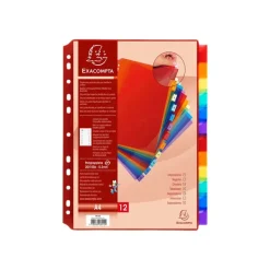 Exacompta - Intercalaire personnalisable 12 positions - A4 - polypropylène coloré