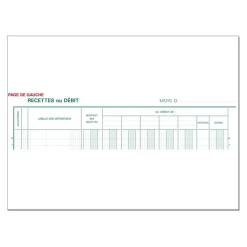 Exacompta - Journal de caisse ou banque - 5 débits/5 crédits - 32 x 25 cm - 80 pages