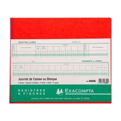 Exacompta - Journal de caisse ou banque - 19 colonnes : 13 débits/6 crédits - 27 x 32 cm horizontal
