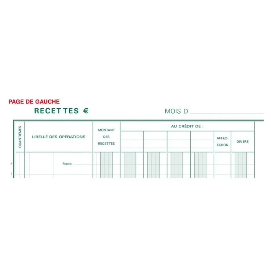 Exacompta - Journal de caisse ou banque - 10 colonnes : 5 débits/5 crédits - 32 x 19,5 cm vertical