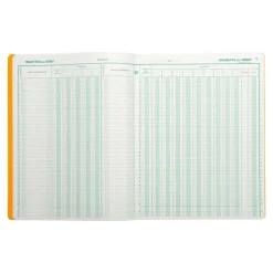 Exacompta - Journal de caisse ou banque - 13 colonnes : 9 débits/4 crédits - 32 x 25 cm vertical