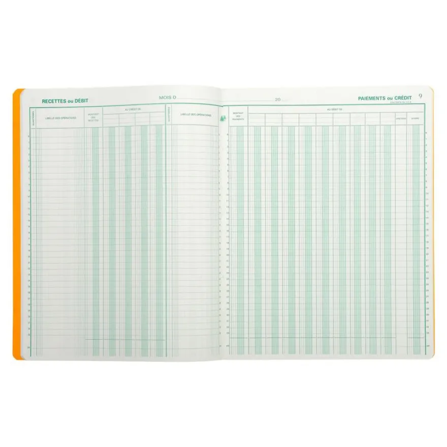 Exacompta - Journal de caisse ou banque - 13 colonnes : 9 débits/4 crédits - 32 x 25 cm vertical