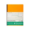 Exacompta - Journal de caisse ou banque - 13 colonnes : 9 débits/4 crédits - 32 x 25 cm vertical