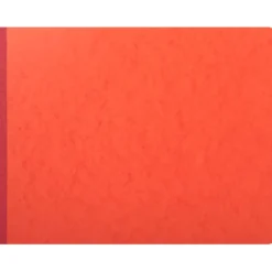 Exacompta - Journal de caisse ou banque - 17 débits/9 crédits - 29,7 x 38 cm - 80 pages