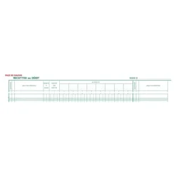 Exacompta - Journal de caisse ou banque - 17 débits/9 crédits - 29,7 x 38 cm - 80 pages