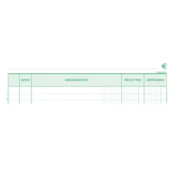 Exacompta - Manifold Carnet de recettes/dépenses - 50 dupli - A4