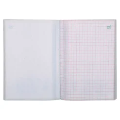 Exacompta - Manifold quadrillé 5x5 - 50 dupli - 14,8 x 10,5 cm