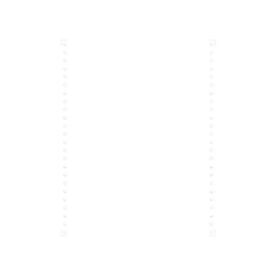 Exacompta - Papier listing blanc - 2000 feuilles 240 mm x 12" - bandes Caroll détachables - microperforations 4 côtés - 80gr