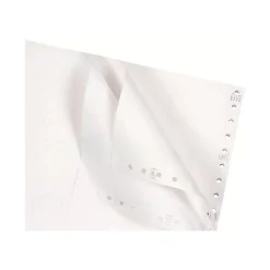 Exacompta - Papier listing blanc - 2000 feuilles 380 mm x 11" - bandes Caroll détachables - 1 pli
