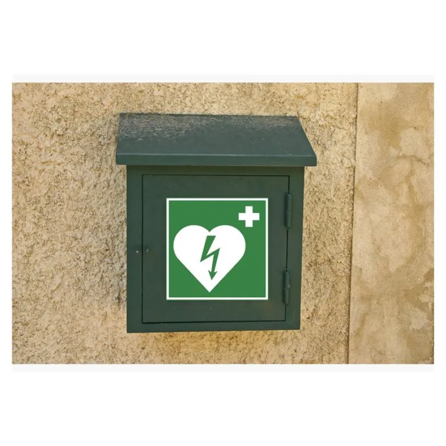 Exacompta - Pictogramme - défibrillateur - 200 x 200 mm - vert