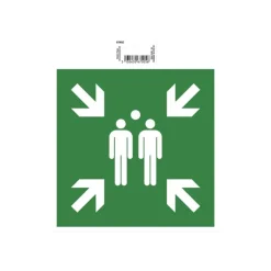 Exacompta - Pictogramme - point de rassemblement - 200 x 200 mm - vert