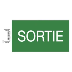 Exacompta - Pictogramme - sortie - 200 x 110 mm - vert
