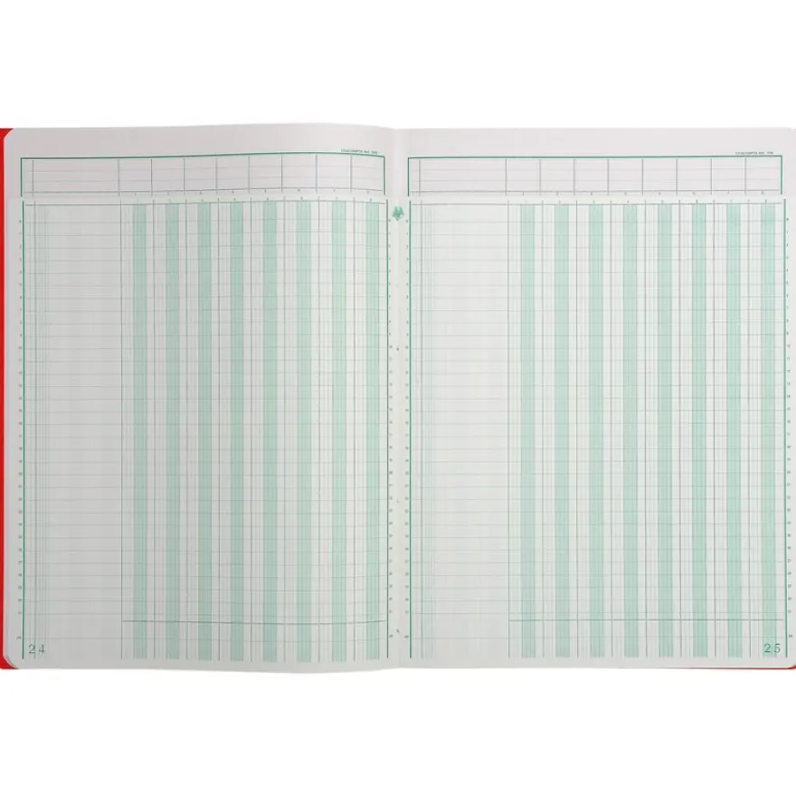 Exacompta - Piqûre à tête paresseuse - 8 colonnes sur 1 page - 32 x 25 cm - 80 pages