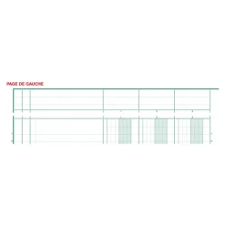 Exacompta - Piqûre à tête paresseuse - 8 colonnes sur 2 pages - 29,7 x 21 cm - 80 pages