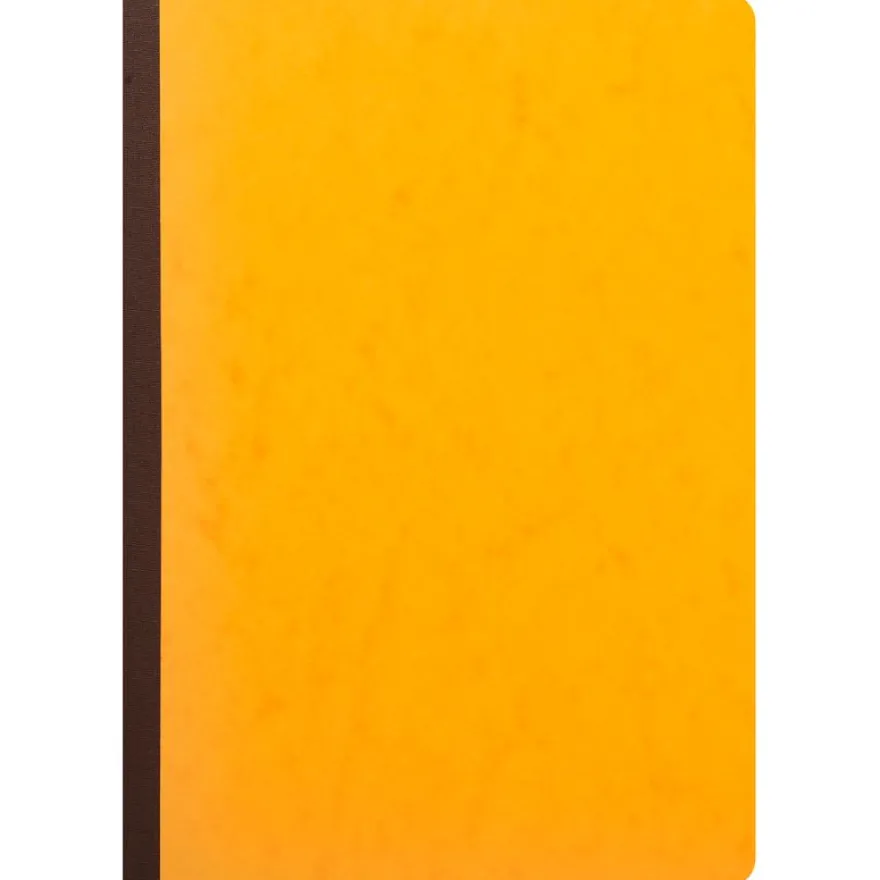 Exacompta - Piqûre à tête paresseuse - 8 colonnes sur 2 pages - 29,7 x 21 cm - 80 pages