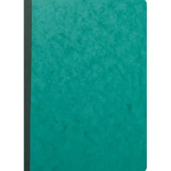 Exacompta - Piqûre à tête paresseuse - 8 colonnes sur 2 pages - 29,7 x 21 cm - 80 pages