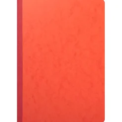 Exacompta - Piqûre à tête paresseuse - 8 colonnes sur 2 pages - 29,7 x 21 cm - 80 pages
