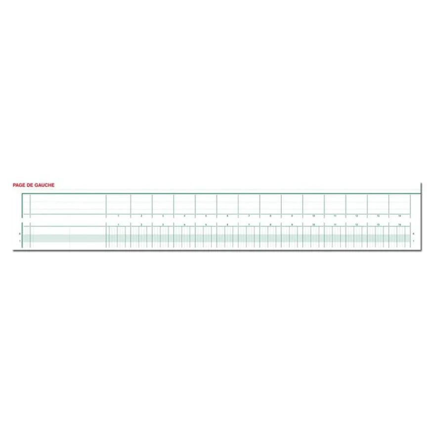Exacompta - Piqûre à tête paresseuse - 32 colonnes sur 2 pages - 29,7 x 38 cm - 80 pages