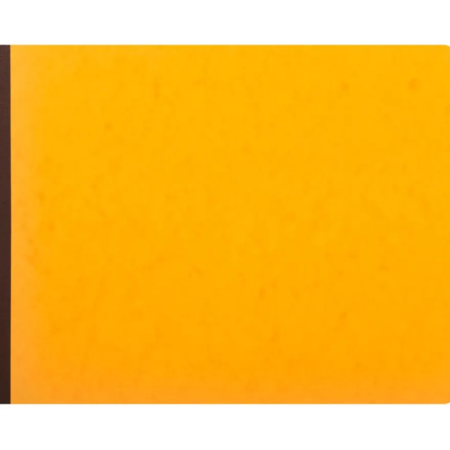 Exacompta - Piqûre à tête paresseuse - 32 colonnes sur 2 pages - 29,7 x 38 cm - 80 pages