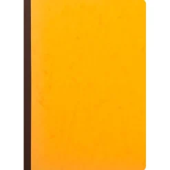 Exacompta - Piqûre à tête paresseuse - 2 colonnes sur 1 page - 29,7 x 21 cm - 80 pages