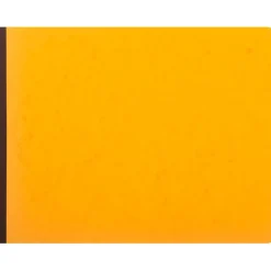 Exacompta - Piqûre à tête paresseuse - 15 colonnes sur 1 page - 29,7 x 38 cm - 80 pages
