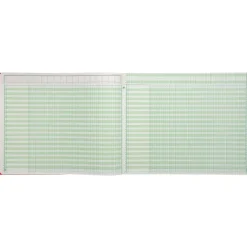 Exacompta - Piqûre à tête paresseuse - 15 colonnes sur 1 page - 29,7 x 38 cm - 80 pages