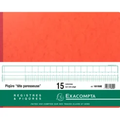 Exacompta - Piqûre à tête paresseuse - 15 colonnes sur 1 page - 29,7 x 38 cm - 80 pages
