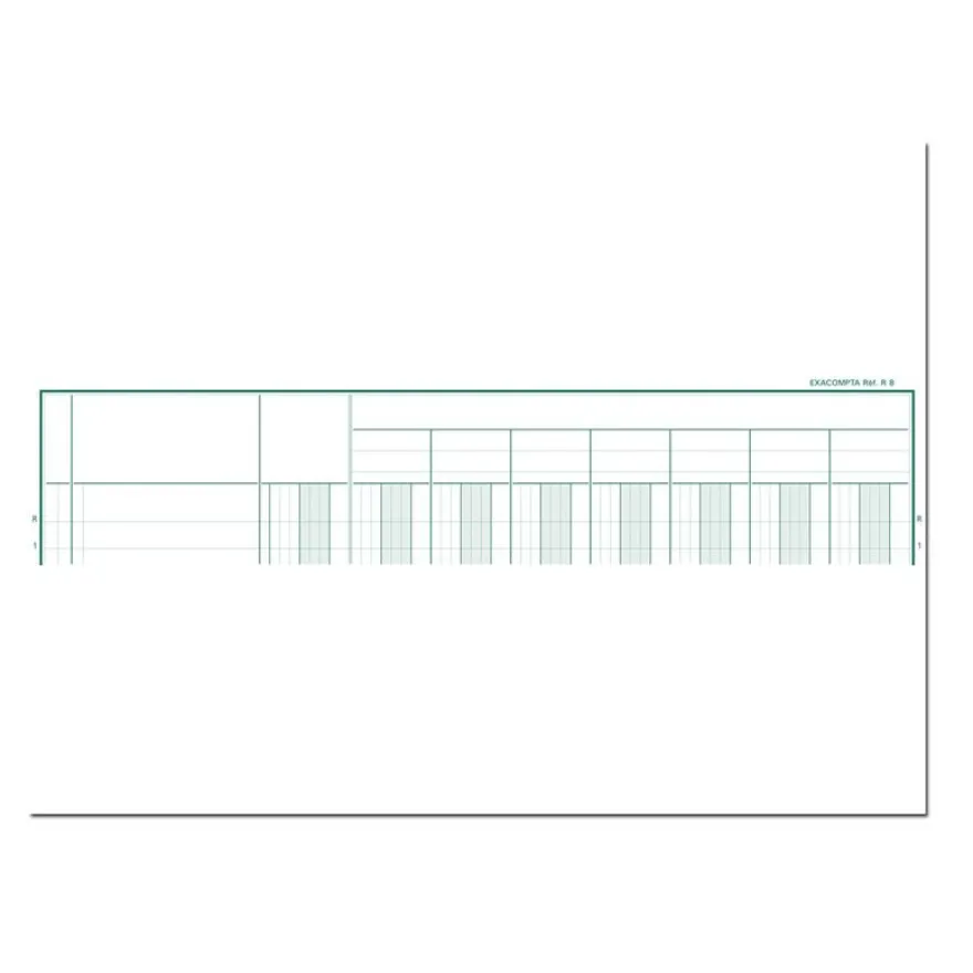 Exacompta - Piqûre comptable - 8 colonnes par page - 32 x 25 cm - 80 pages