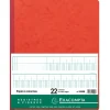 Exacompta - Piqûre comptable - 22 colonnes sur 2 pages - 40 x 30 cm - 80 pages