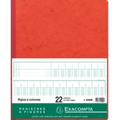 Exacompta - Piqûre comptable - 22 colonnes sur 2 pages - 40 x 30 cm - 80 pages