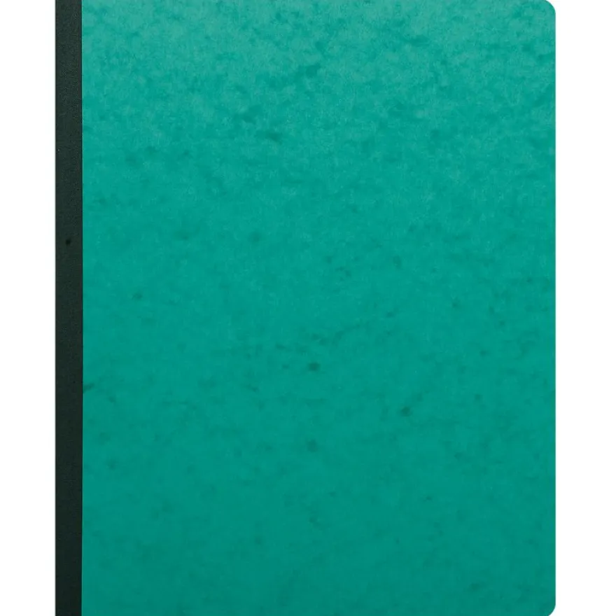 Exacompta - Piqûre comptable - 22 colonnes sur 2 pages - 40 x 30 cm - 80 pages
