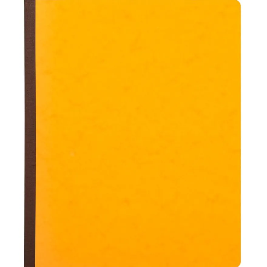 Exacompta - Piqûre comptable - 22 colonnes sur 2 pages - 40 x 30 cm - 80 pages