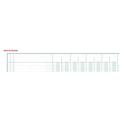 Exacompta - Piqûre comptable - 22 colonnes sur 2 pages - 40 x 30 cm - 80 pages