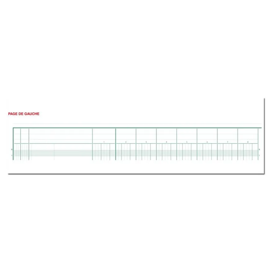 Exacompta - Piqûre comptable - 20 colonnes sur 2 pages - 25 x 32 cm - 80 pages