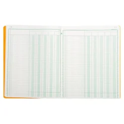 Exacompta - Piqûre comptable - 5 colonnes par page - 32 x 25 cm - 80 pages