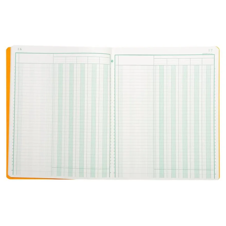 Exacompta - Piqûre comptable - 5 colonnes par page - 32 x 25 cm - 80 pages
