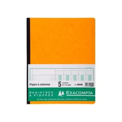 Exacompta - Piqûre comptable - 5 colonnes par page - 32 x 25 cm - 80 pages