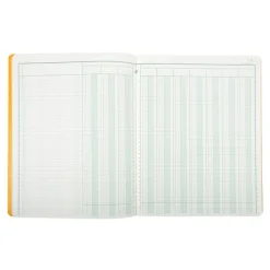 Exacompta - Piqûre comptable - 10 colonnes sur 2 pages - 32 x 25 cm - 80 pages