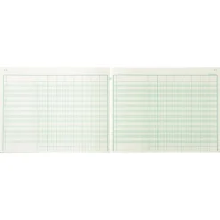 Exacompta - Piqûre comptable - 7 colonnes par page - 25 x 32 cm - 80 pages